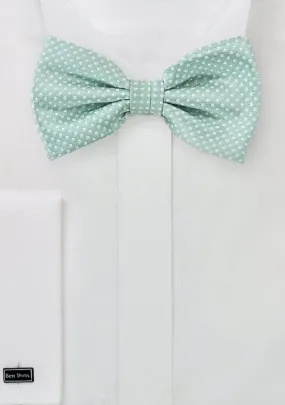 Farfallino verde-grigio pois