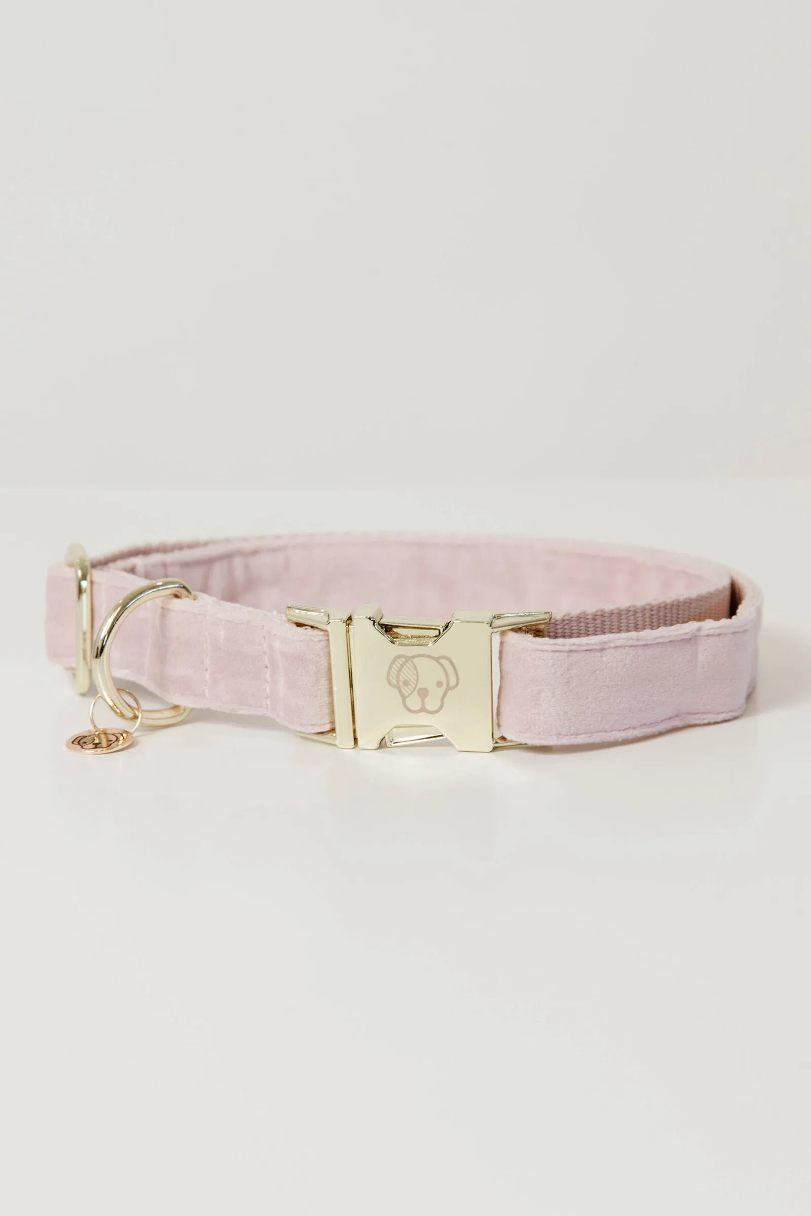 Kentucky Dogwear Collare per cani in velluto
